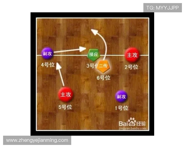 上海排球队与南京排球队对决后的战术分析与节奏探讨 上海排球队与南京排球队对决后的战术分析与节奏探讨