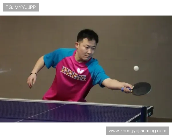 专访乒乓球明星赵磊揭秘他成功背后的努力与坚持 专访乒乓球明星赵磊揭秘他成功背后的努力与坚持