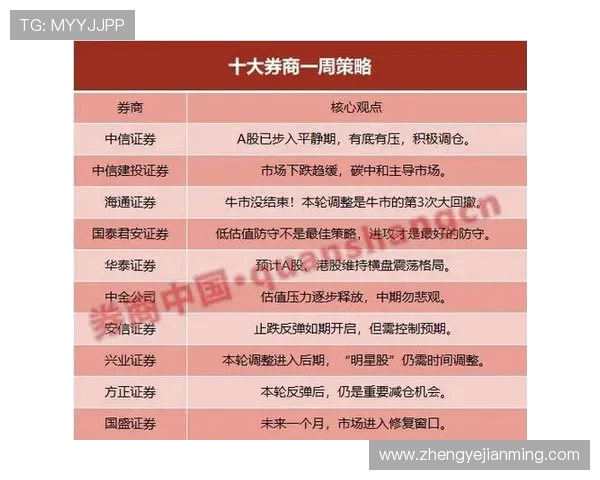 南京排球队防守策略解析与战术创新的深度剖析 南京排球队防守策略解析与战术创新的深度剖析