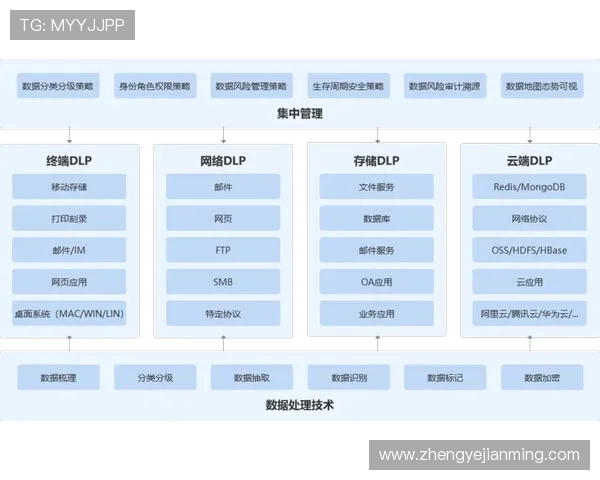 南京极限运动队耐力表现数据分析与训练策略探讨 南京极限运动队耐力表现数据分析与训练策略探讨