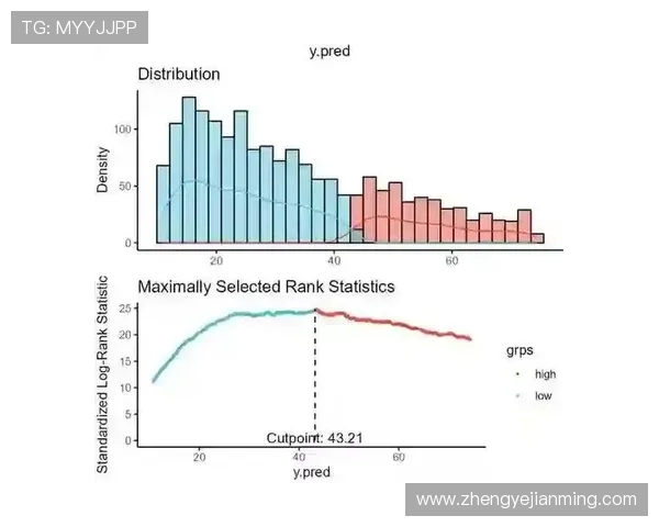 深入探讨深圳排球队的技术表现与数据分析结果