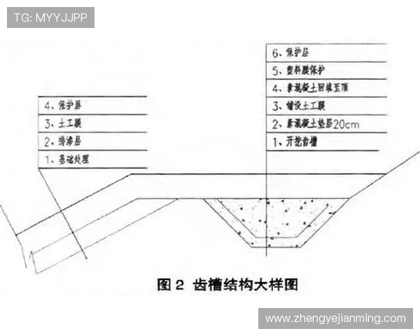 深圳乒乓球队的节奏与战术创新探讨及其对比赛的影响分析