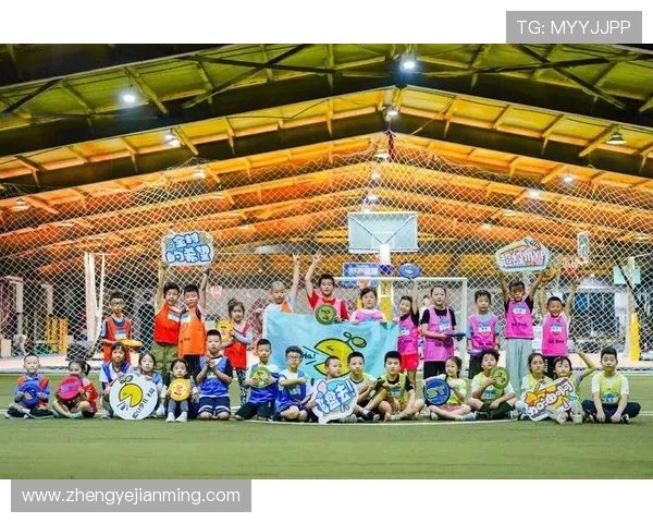 深圳飞盘队的崛起与发展探索：力量与团队精神的深度剖析