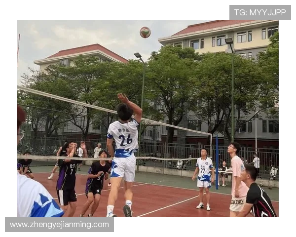 重庆排球队比赛经验分享：从训练到赛场的成长之路