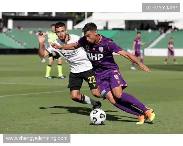 纽卡斯托主场迎战珀斯光荣期待精彩对决与进球盛宴 纽卡斯托主场迎战珀斯光荣期待精彩对决与进球盛宴