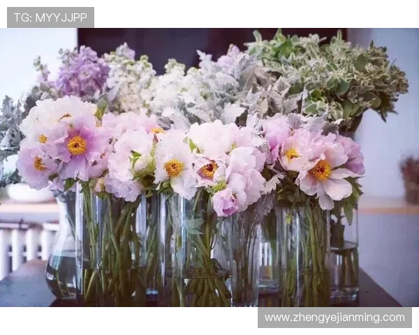 黄蜂对阵水户精彩直播全程回顾及赛后分析尽在这里