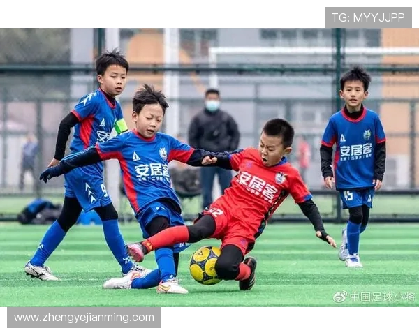 南京足球队的节奏探秘：从历史传承到未来展望的全面分析