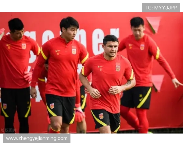 杨强专访揭秘排球成功秘诀与未来发展方向