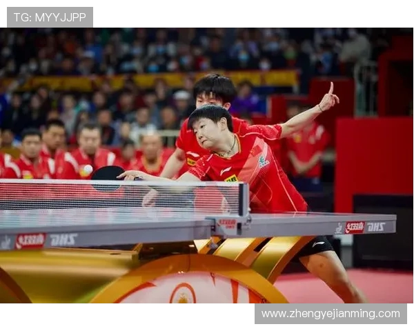 上海乒乓球队实力引发热议球迷与专家观点交锋分析 上海乒乓球队实力引发热议球迷与专家观点交锋分析